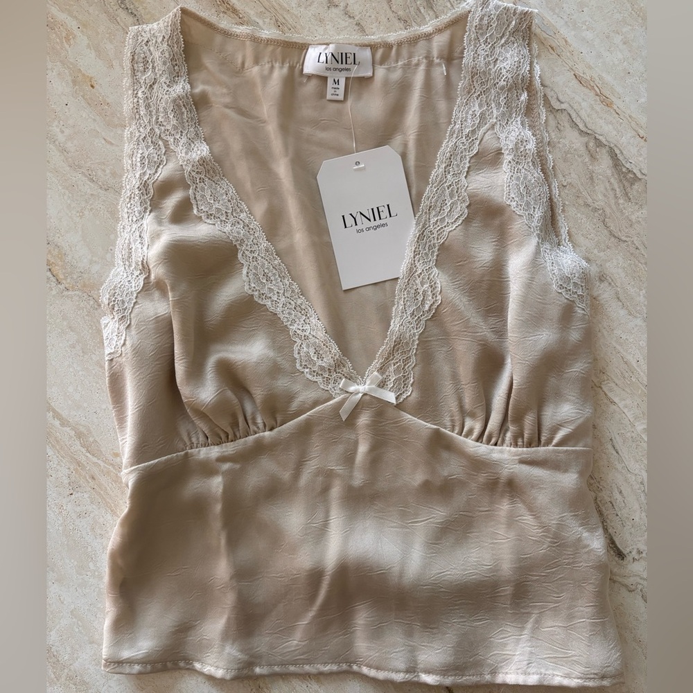 Silk Lace Trim Chemise in Champagne